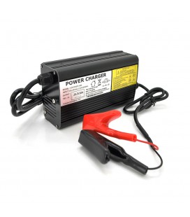 Зарядний пристрій Merlion для акумуляторів LiFePO4 24V(29,2V),8S,10A-240W,Q20