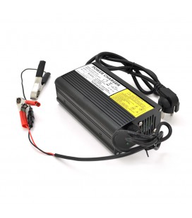 Зарядний пристрій Merlion для акумуляторів LiFePO4 48V(58,4V),16S,5A-240W