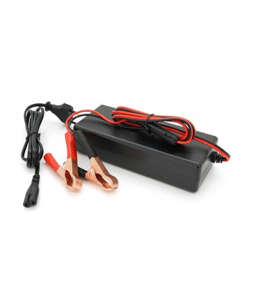 Зарядний пристрій для акумуляторів Li-ion 12V (12,6V),3S,6A, індикація.с крокодилами (Clips)
