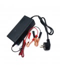Зарядний пристрій для акумуляторів LiFePO4 12V(14,6V),4S,10A