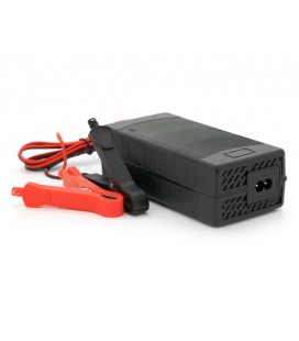 Зарядний пристрій Merlion для акумуляторів LiFePO4 24V(29,2V),8S,5A-120W.крокодили, BOX