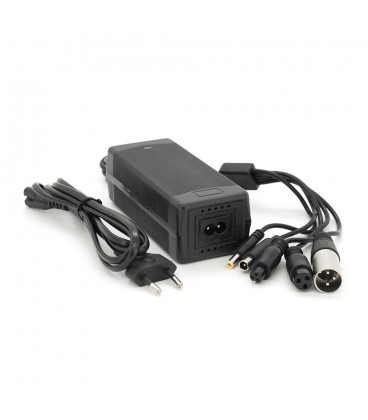 Універсальний зарядний пристрій для акумуляторів Li-ion 36V(42V),10S, 2A, 5,5*2,5мм/3PXLR(18mm)/3pGX12/3PGX16/Xiaomi8MM, LED інд