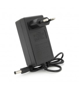 Зарядний пристрій для акумуляторів Li-ion 21V,5S,2A,штекер 5,5х2,1мм,LED-індикація