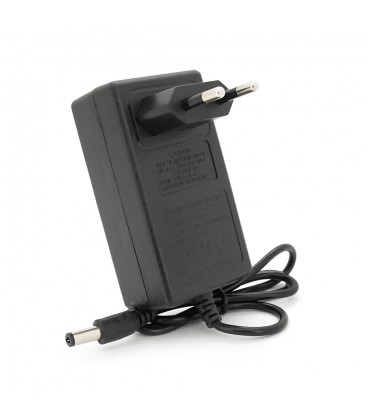 Зарядний пристрій для акумуляторів Li-ion 21V,5S,2A,штекер 5,5х2,1мм,LED-індикація