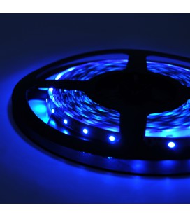 Стрічка Світлодіодна 3528, (60 світлодіодів), 12B, 5 метрів котушка Blue