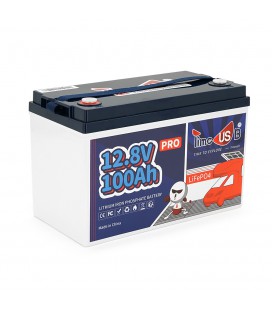 Акумуляторна батарея LiFePO4 Timeusb 12.8V 100Ah Pro, 1280Wh, BMS 100A, 260*168*210мм