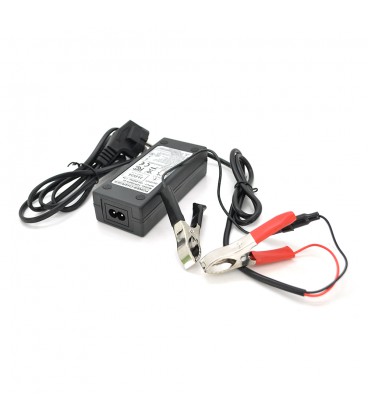 Зарядний пристрій Merlion для акумуляторів LiFePO4 12V(14,6V),4S,3A-36W + крокодили,BOX,Q50