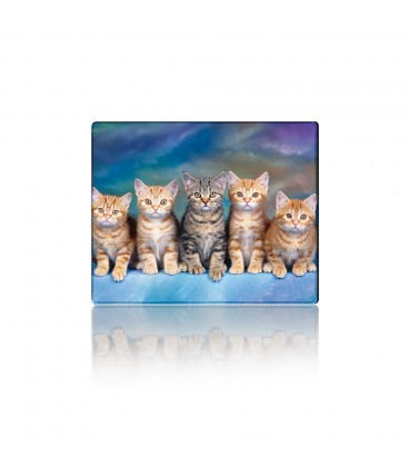 Килимок 250*300 тканинний Five Cats, з боковою прошивкою, товщина 2 мм