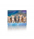 Килимок 250*300 тканинний Five Cats, з боковою прошивкою, товщина 2 мм