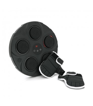 Настінна боксерська мішень з музикою та підсвічуванням, 6 кіл, Box