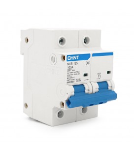 Автоматический выключатель постоянного тока CHINT NXB-125-100, 100A, 2P, 12-125V