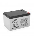 Акумуляторна батарея AGM RITAR RT12100, Gray Case, 12V 10.0Ah ( 151 х 65 х 111 (117 ) ) Q10