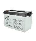 Акумуляторна батарея AGM RITAR HR12380W, Gray Case, 12V 100.0Ah ( 328 х 172 х 215 (220 )) 30.50kg Q1/36