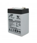 Акумуляторна батарея AGM RITAR RT655, Gray Case, 6V 5.5Ah (70х47х99 (105)) Q20