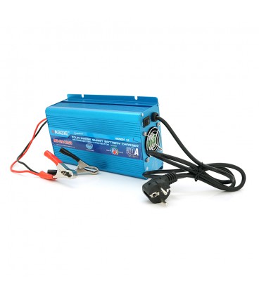 Зарядний пристрій RAGGIE RG-CA1250A для акумулятора 12V-50A, крокодили, Q12