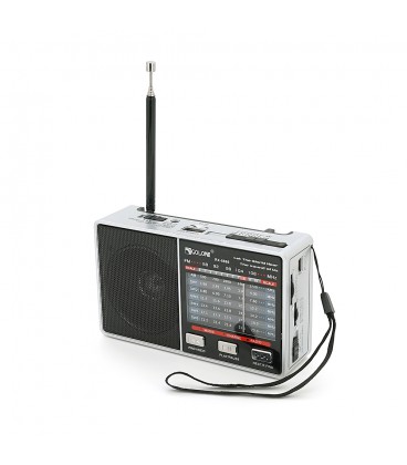 Радиоприемник GOLON RX-8866, LED, 2x3W, FM радио, корпус пластмасс, Mix Color, BOX