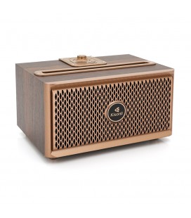 Колонка Kisonli G1 Bluetooth 5.0, 2х10W, 1500mAh, USB/TF/BT/FM/AUX, DC: 5V, Dark wood (Brown), BOX, Q24