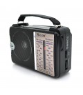 Радіоприймач GOLON RX-606AC, LED, 2x3W, FM радіо, корпус пластмас, Black, BOX