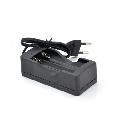 Зарядное устройство Merlion 2*18650, 4.2V/700-1000mAh Q200