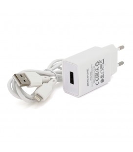 Набор BOROFONE BA68A СЗУ 1xUSB+ кабель Lighting, 2.1A, 1м, White, Blister