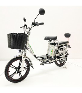 Электровелосипед GreenCamel Транк 18 V8 (R18 250W 60v) алюм, DD, гидравлика