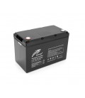Аккумуляторная батарея Ritar LiFePO4 12,8V 100Ah 1280Wh BMS100@4S ( 328 x 172 x 215 (220), 13,8kg Q1