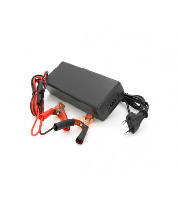 Зарядное устройство для аккумуляторов Li-ion 24V(29,4V),7S,4A, индикация, с крокодилами172x72x40mm