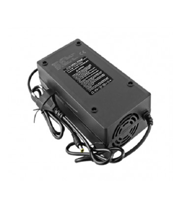 Зарядное устройство LiitoKala Lii-584500 для LiFePO4 аккумуляторов 16S-58.4V5A , разъем 5.5*2.1 мм, BOX