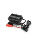 Зарядное устройство для аккумуляторов LiFePo4 36V(43.8V),12S,6A,крокодилы,135x90x50mm