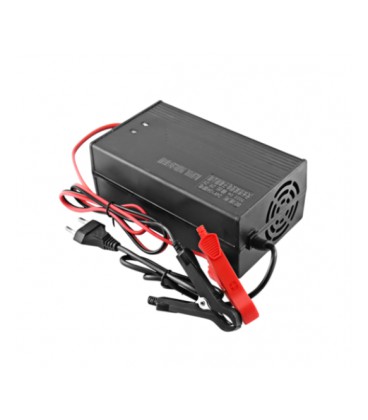 Зарядное устройство LiitoKala Lii-292100 для LiFePO4 аккумуляторов 8S-29.2V10A , крокодилы, BOX