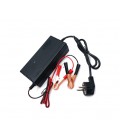 Зарядное устройство для аккумуляторов LiFePO4 12V(14,6V),4S,10A + крокодилы,BOX