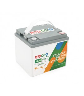 Аккумуляторная батарея LiFePO4 Redodo 12.8V 50Ah , 640Wh, BMS 50A, 198*166*170мм