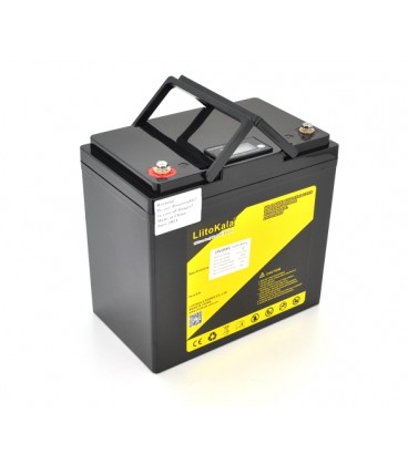 Аккумуляторная батарея LiitoKala LiFePO4 24V(29,2V) 30Ah BMS(10(50)/100A) с LCD дисплеем (260*170*215mm), 5.5kg