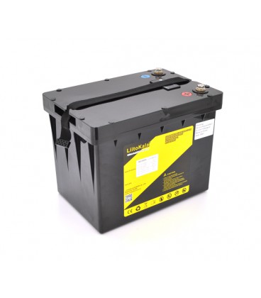 Аккумуляторная батарея LiitoKala LiFePO4 48V(58,4V) 40Ah BMS(10(20)/40A) с LCD дисплеем (295*203*225mm), 13kg
