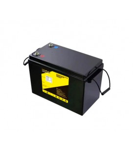 Аккумуляторная батарея LiitoKala LiFePO4 24V(29,2V) 100Ah BMS(20(100)/100A), (355*245*180mm), 16kg
