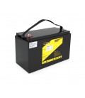 Аккумуляторная батарея LiitoKala LiFePO4 12,8V 100Ah(20/100A) (330*170*220mm), 9.5kg