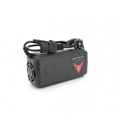 Автоматическое ЗУ для аккумуляторов электромобилей 48V, 110-220V, заряд: 48-59V/1.8A