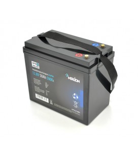 Литий-железо-фосфатный аккумулятор Merlion LiFePO4 12.8V 50AH (4S1P/BMS-50A), (229x138x205),6,5kg до 5000 циклов, Q2