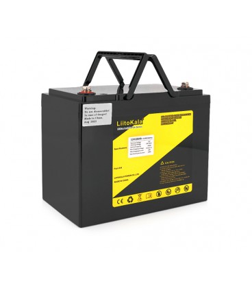 Аккумуляторная батарея LiitoKala LiFePO4 12,0V 100Ah BMS(20/100A) (260*170*215mm), 9.5kg