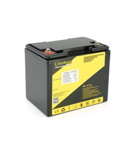 Аккумуляторная батарея LiitoKala LiFePO4 12,0V 50Ah BMS(10/50A) (192*172*130mm), 5kg