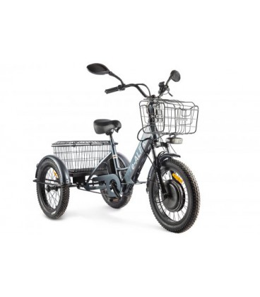 Трицикл GREEN CITY e-ALFA Trike