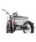 Трицикл GREEN CITY e-ALFA Trike