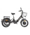 Трицикл GREEN CITY e-ALFA Trike