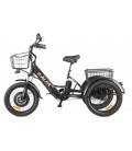 Трицикл GREEN CITY e-ALFA Trike