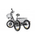 Трицикл GREEN CITY e-ALFA Trike