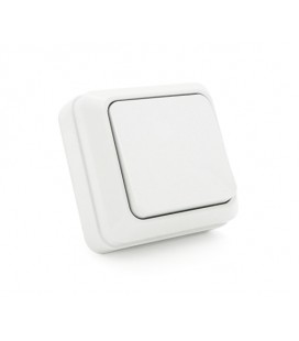 Выключатель одинарный наружного монтажа, White, Q10