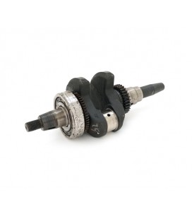 Коленвал 192B