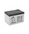Аккумуляторная батарея AGM RITAR RT12100, Gray Case, 12V 10.0Ah ( 151 х 65 х 111 (117 ) ), 3.10kg Q10
