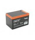Тяговая аккумуляторная батарея AGM MERLION 6-DZM-12, 12V 12Ah F2 (151х98х101 мм) , 4.13 kg Orange Q3