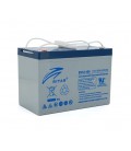 Тяговый аккумулятор RITAR EV12-100,12V 100Ah, M8 ( 328 х 172 х 215(220) ),29kg Q1